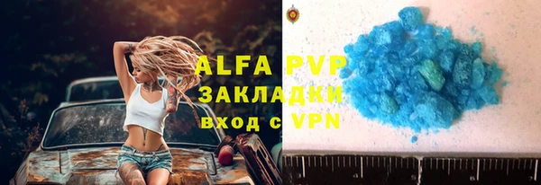 стафф Козельск