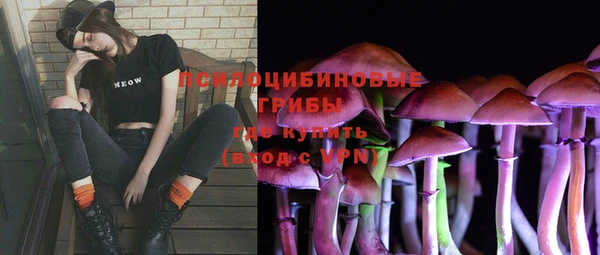 марки lsd Козловка