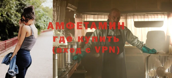 шишки Шадринск