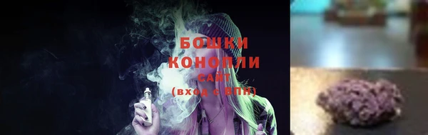 стафф Козельск