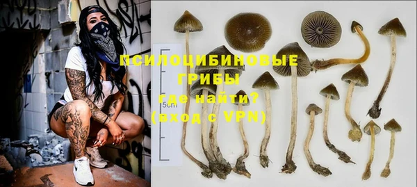 стафф Козельск