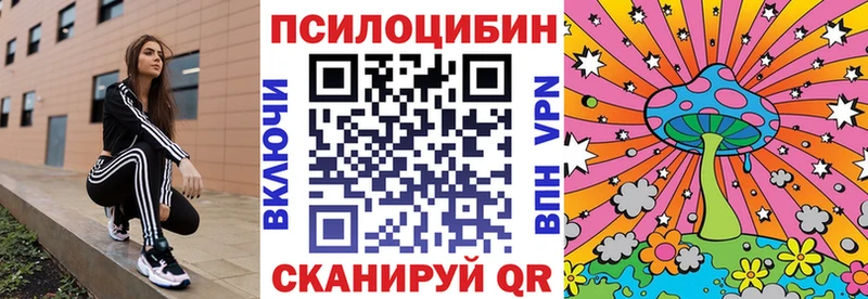 Галлюциногенные грибы мухоморы  где купить наркоту  hydra ТОР  Подольск 